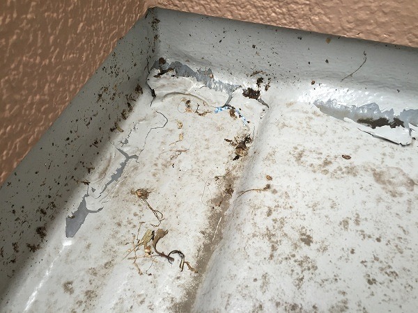 防水の剥がれが発覚